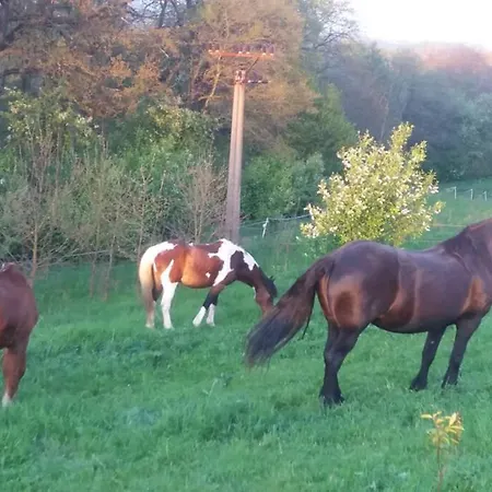 Feriehus Prazdninovy Dum S Vyhrivanym Bazenem V Srdci Ceskeho Raje Turnov